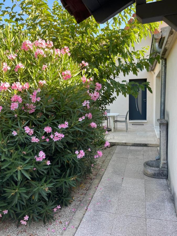 Petite Maison Pres Du Centre L'Isle-sur-la-Sorgue Exterior photo